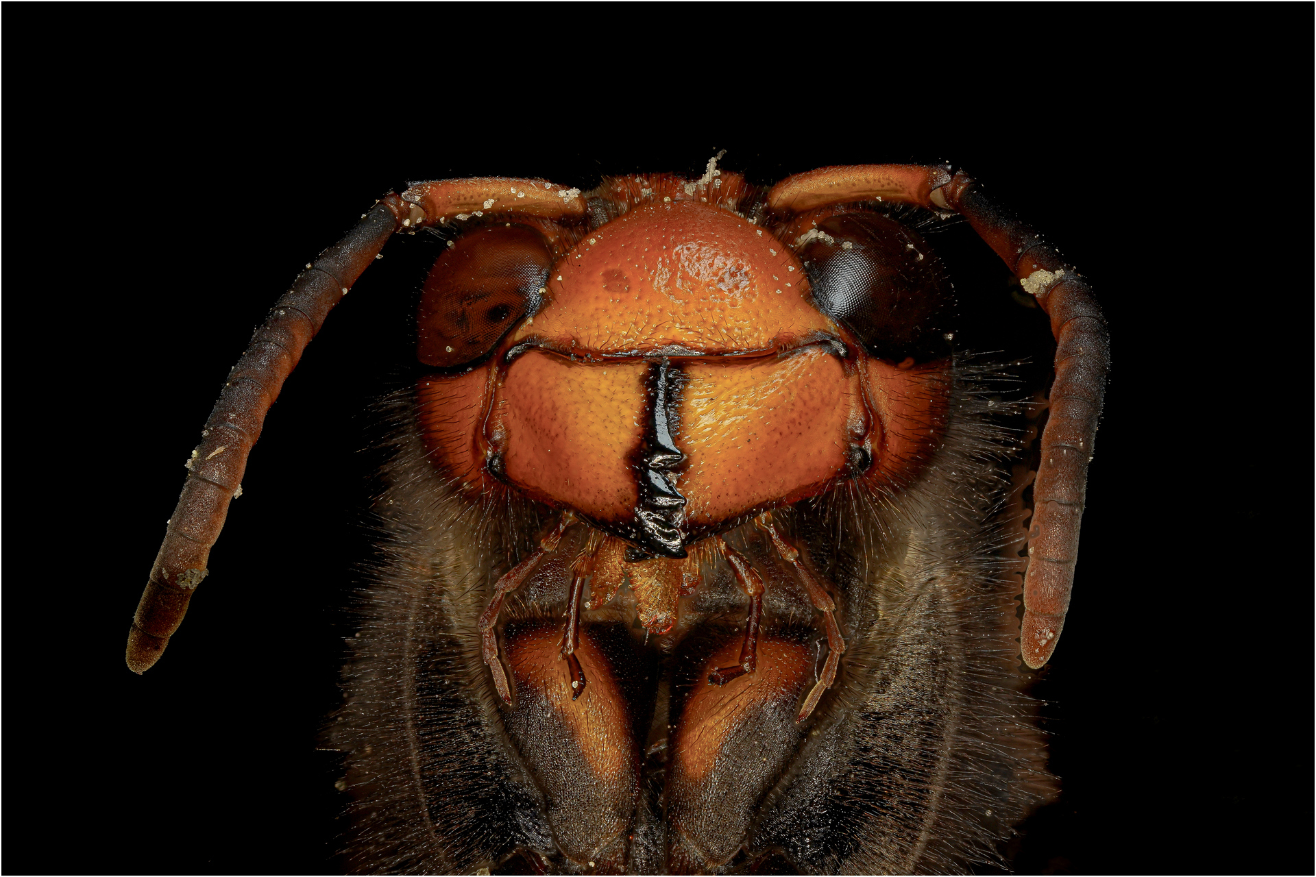 EX JEAN PIERRE COCQUEREZ