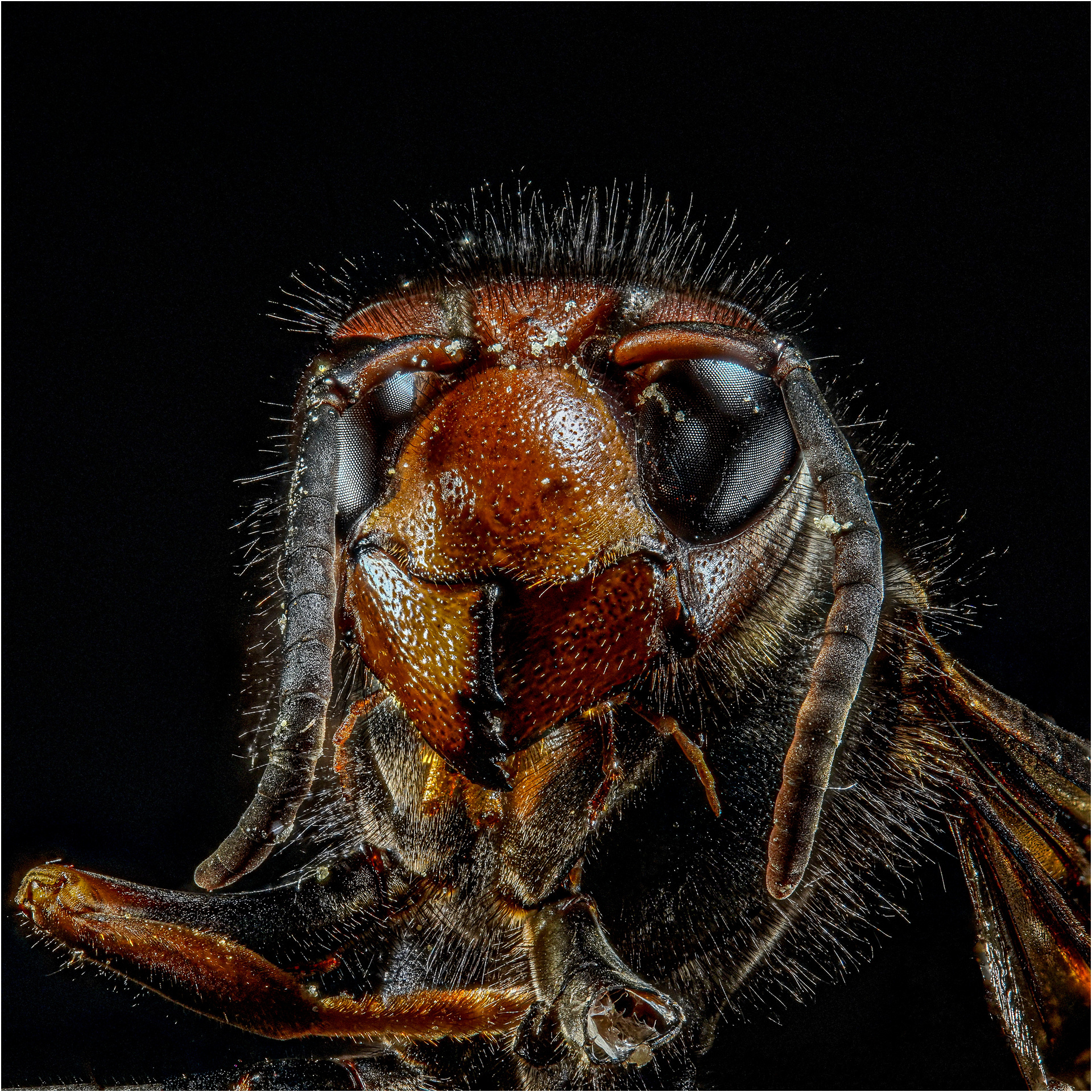 EX JEAN PIERRE COCQUEREZ